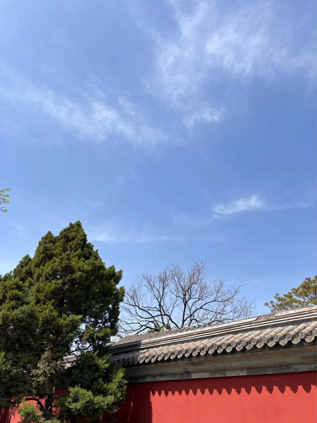 我发现男生对女生真心的喜欢是见到你就开心