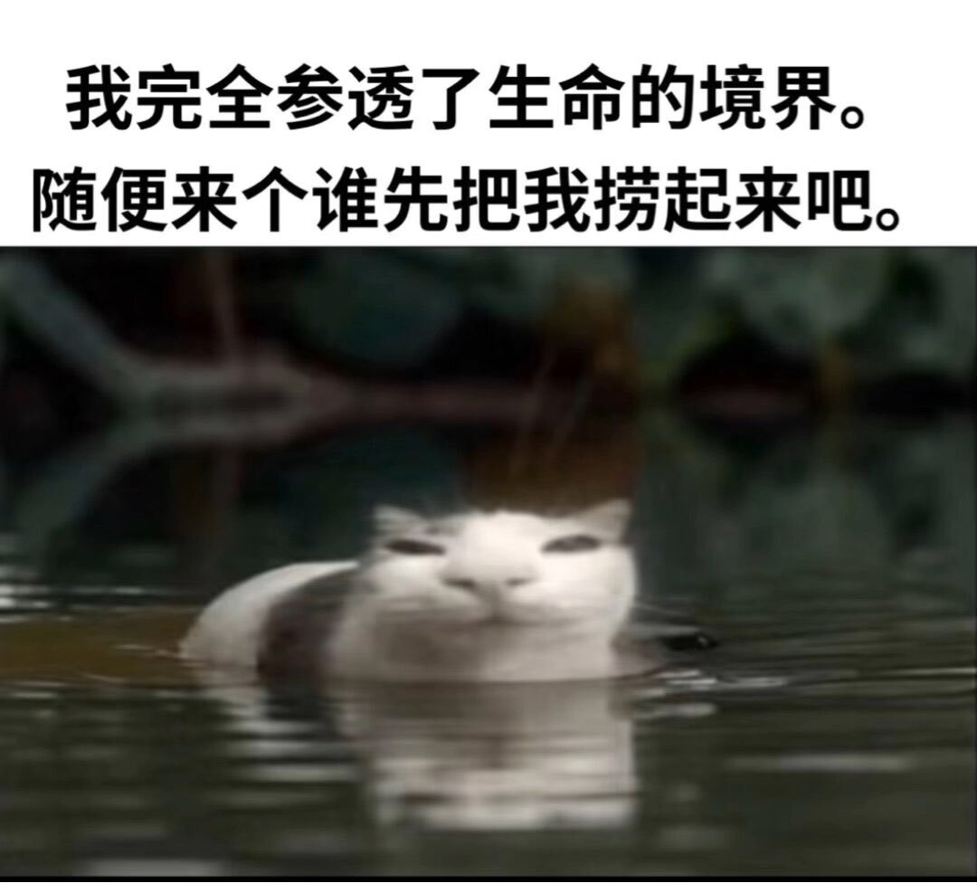 谁能救我一命