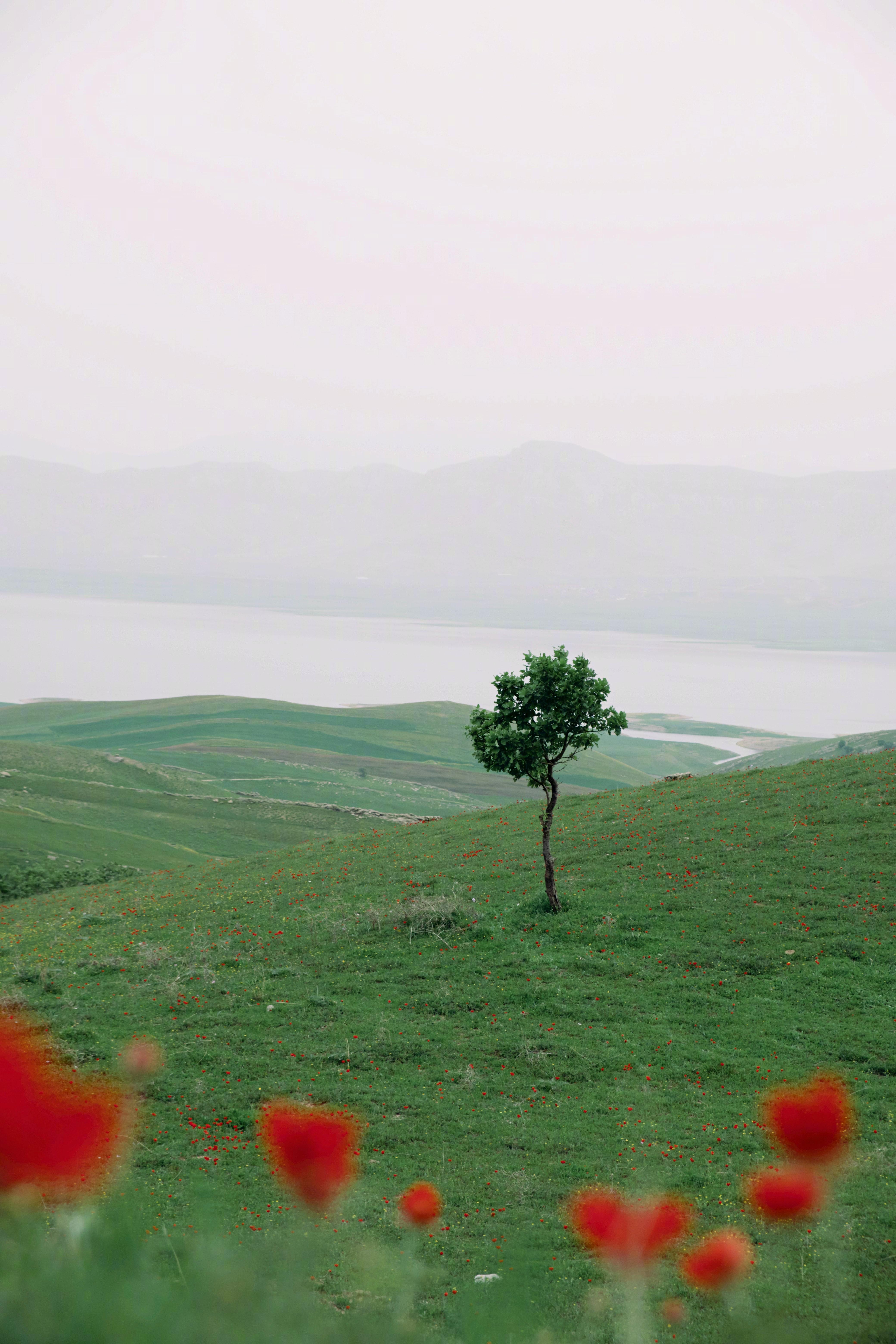 一旦下雨，路上就有肮脏和泥泞，每个人都得踩过去。——张嘉佳《从你的全世界路过》