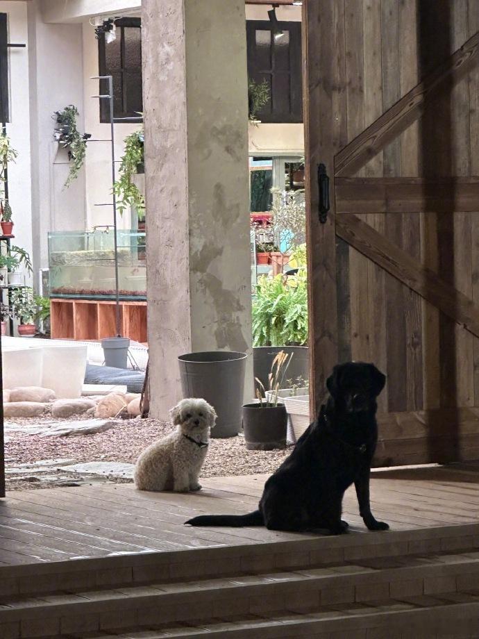 #曾舜晞灿烂的花园收官发文##曾舜晞发文告别灿烂的花园# 《灿烂的花园》已收官，