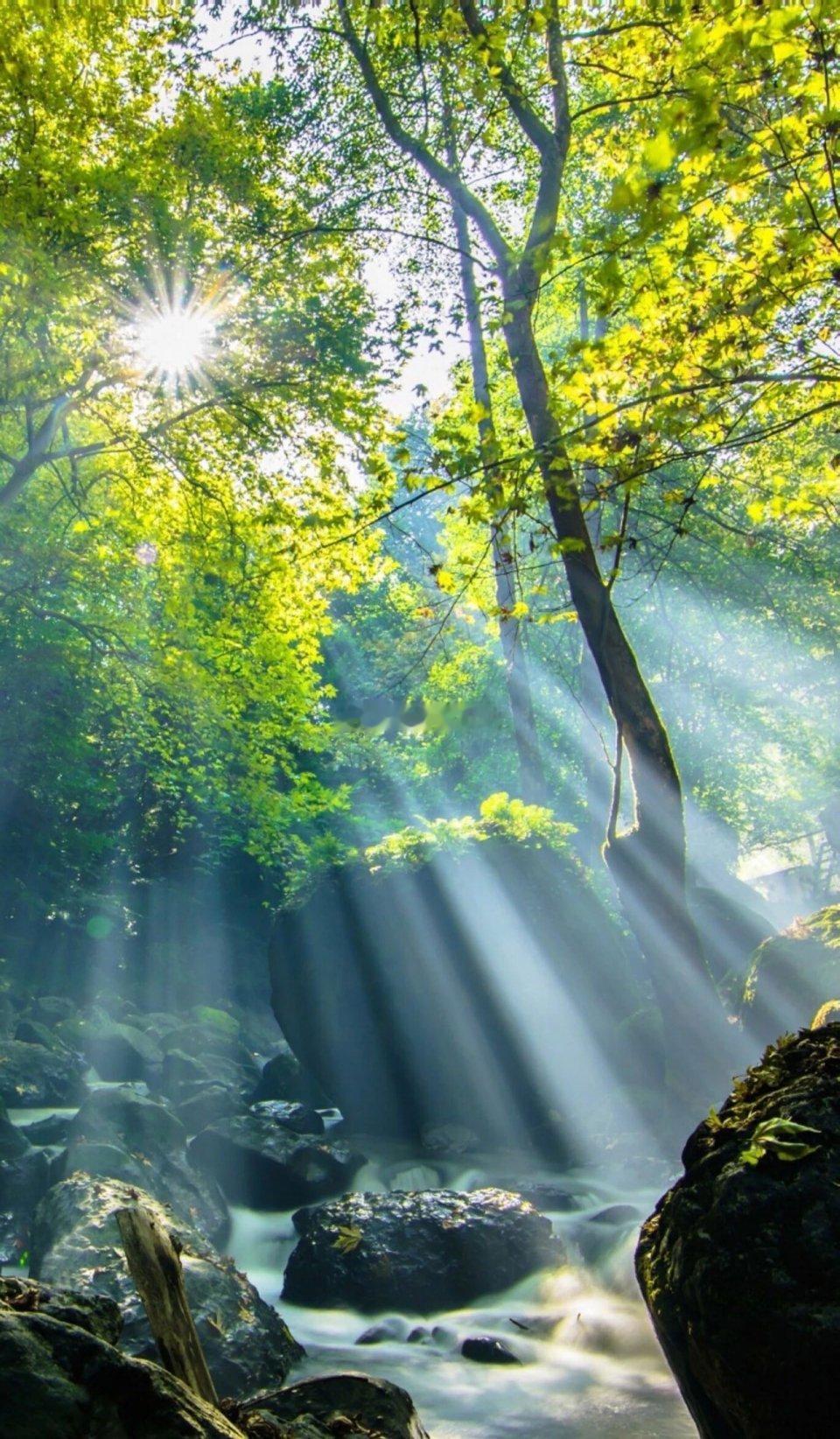 比缺光芯片更致命！1.6T核心卡脖子环节曝光，oDSP才是关键枷锁，东山精密完成