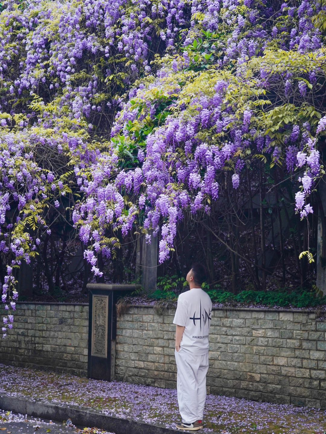 接下来的长沙，是万万次的春和景明…
