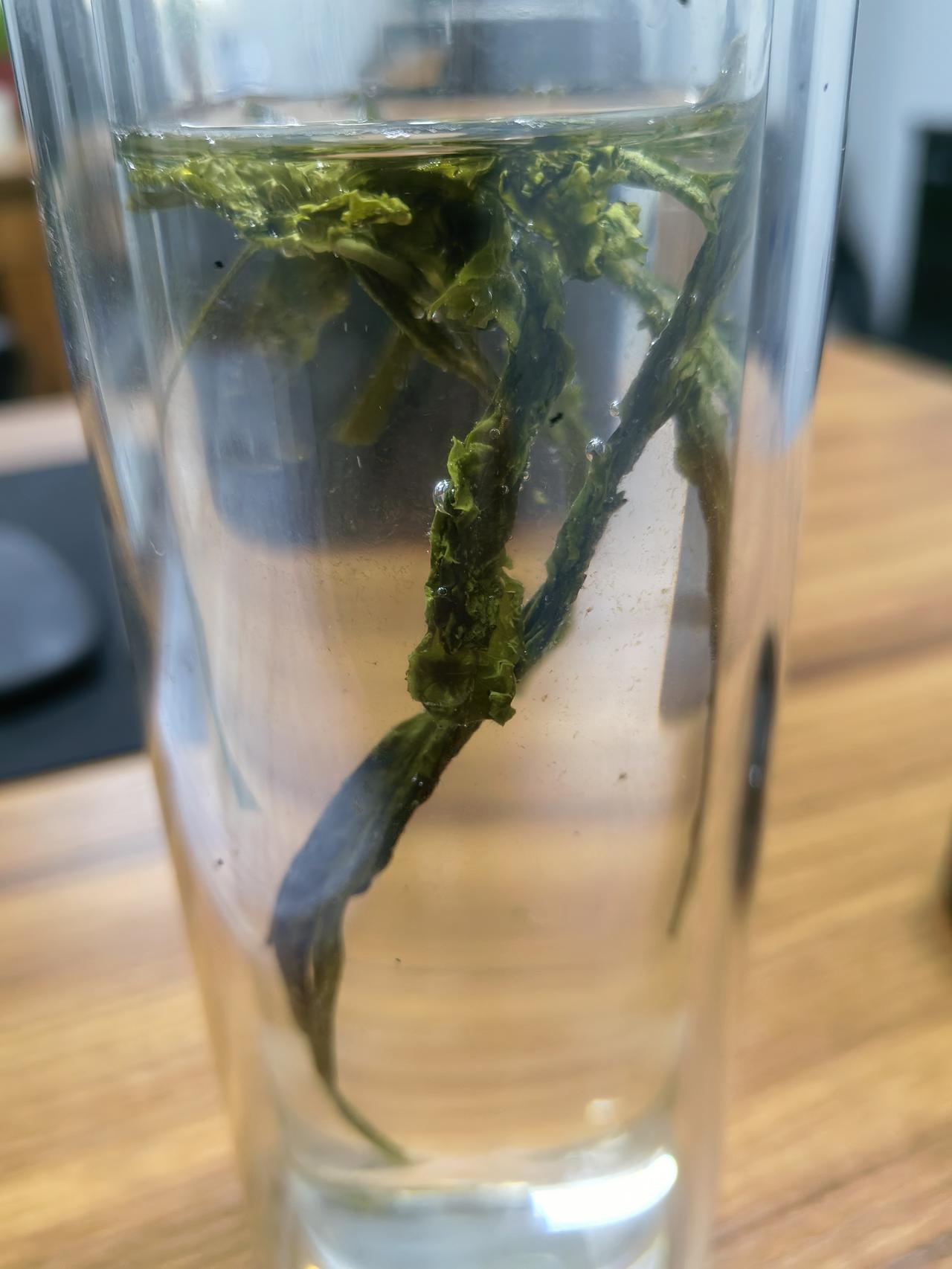 过一个年，你花了多少心里清楚，可你不知道人家收了多少？
年前从省城回家，上一辆跑