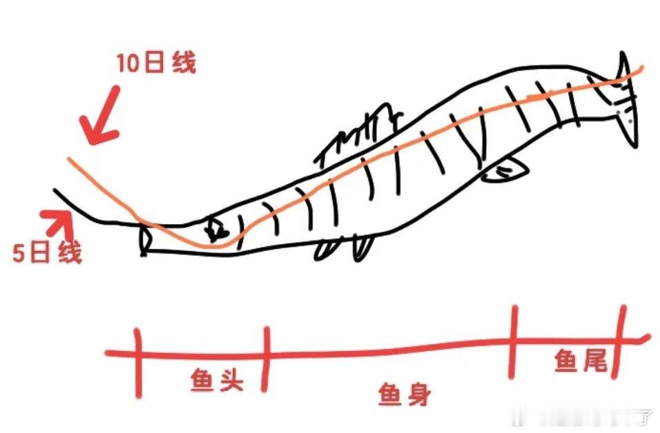 炒股最理想的状态就是买在鱼头，卖在鱼尾，吃上大几十个点，其实这都是理想状态，根本