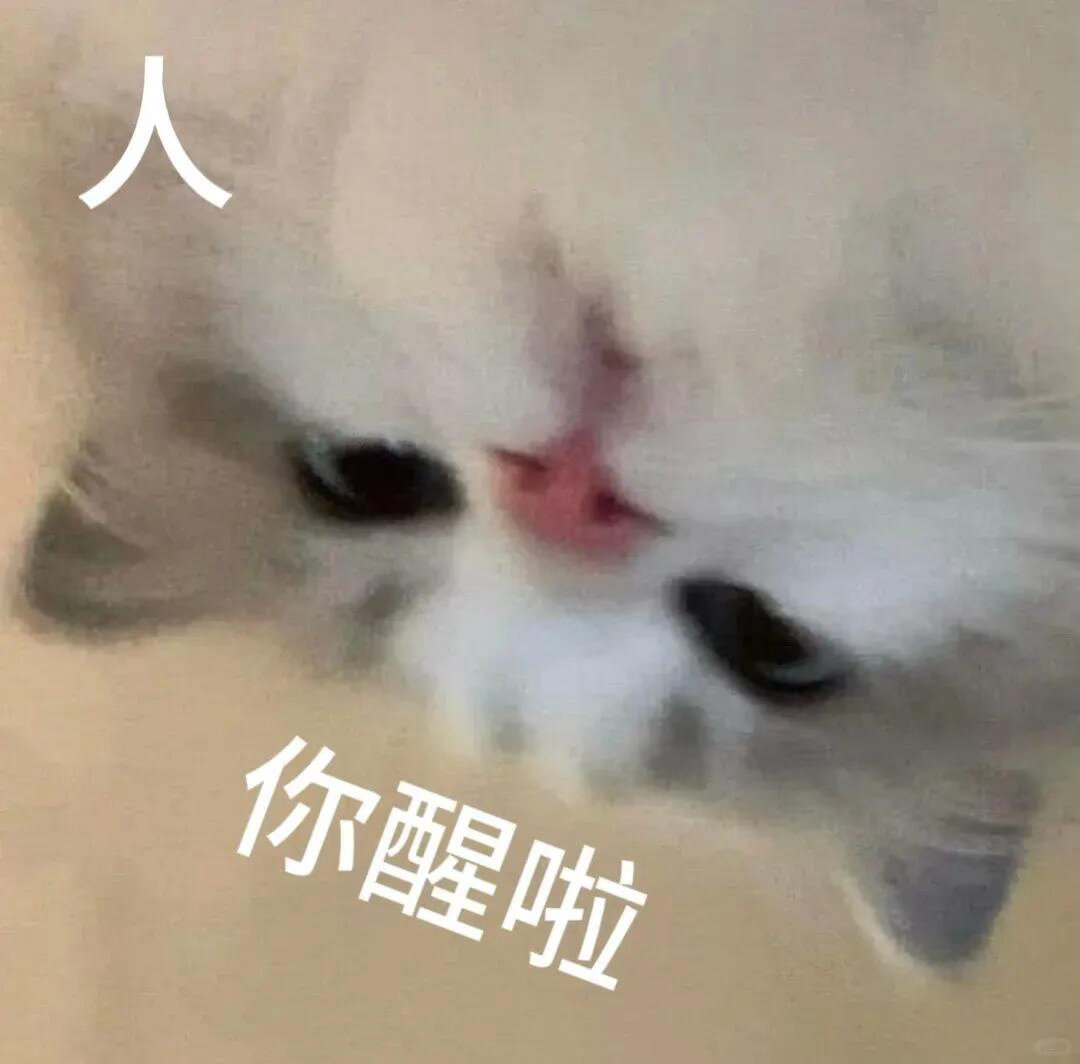 早啊💛 
