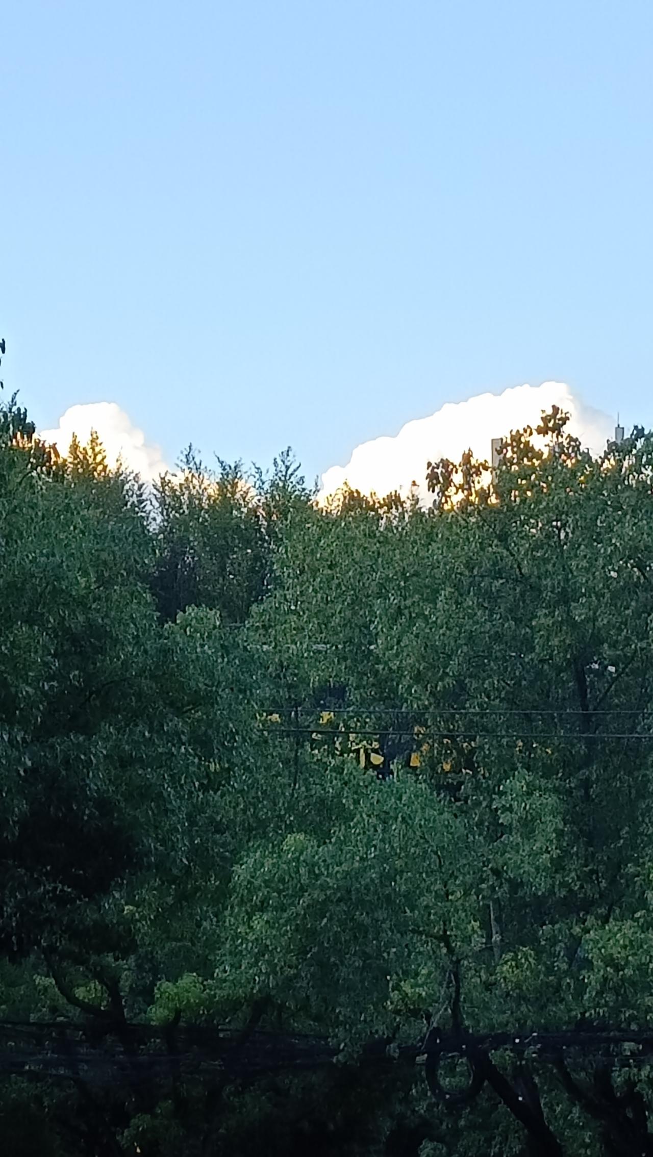 阳光洒在树梢，静谧的午后时光。🌳🌞
上联:树影婆娑间，
下联:云卷卷舒时。