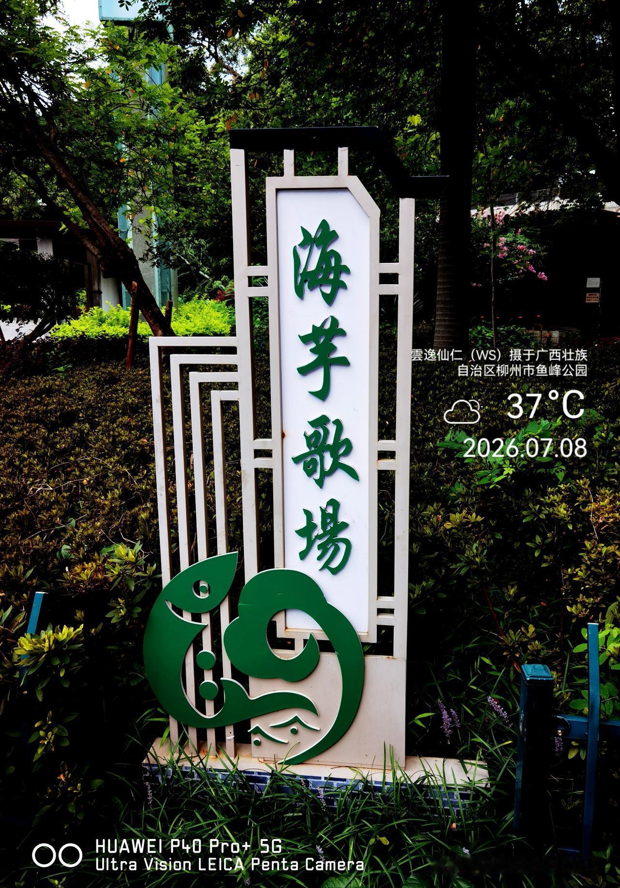月居生活记录（10094）广西壮族自治区柳州市（131）：海芋歌场、屏山综合市场