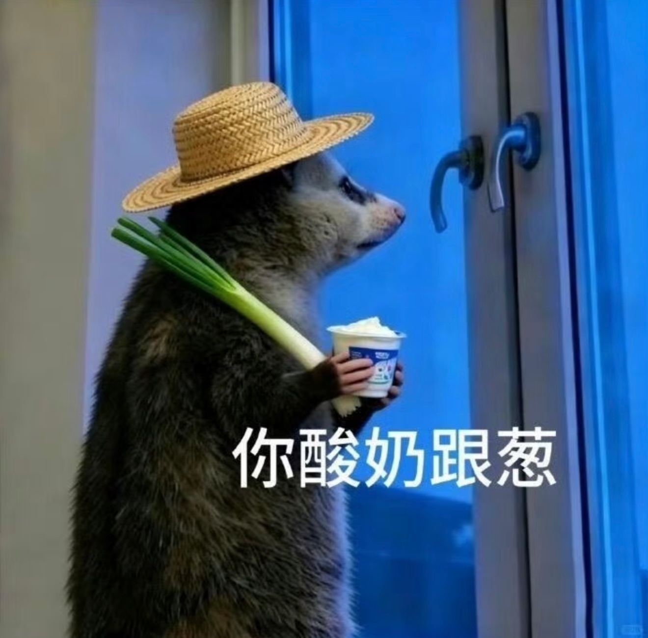 巴黎环游风光商务尽握手掌高奢晒单大方笑看酸狗妒肠 