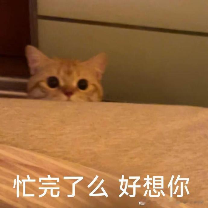晚上好～分享一首最近爱听的歌吧～大电竞分享