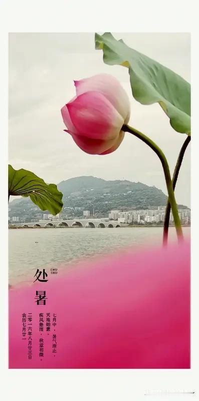 今天是五月二十八民间俗语有
1. 旱不旱，五月二十八早看天 / 是淹是干，五月廿