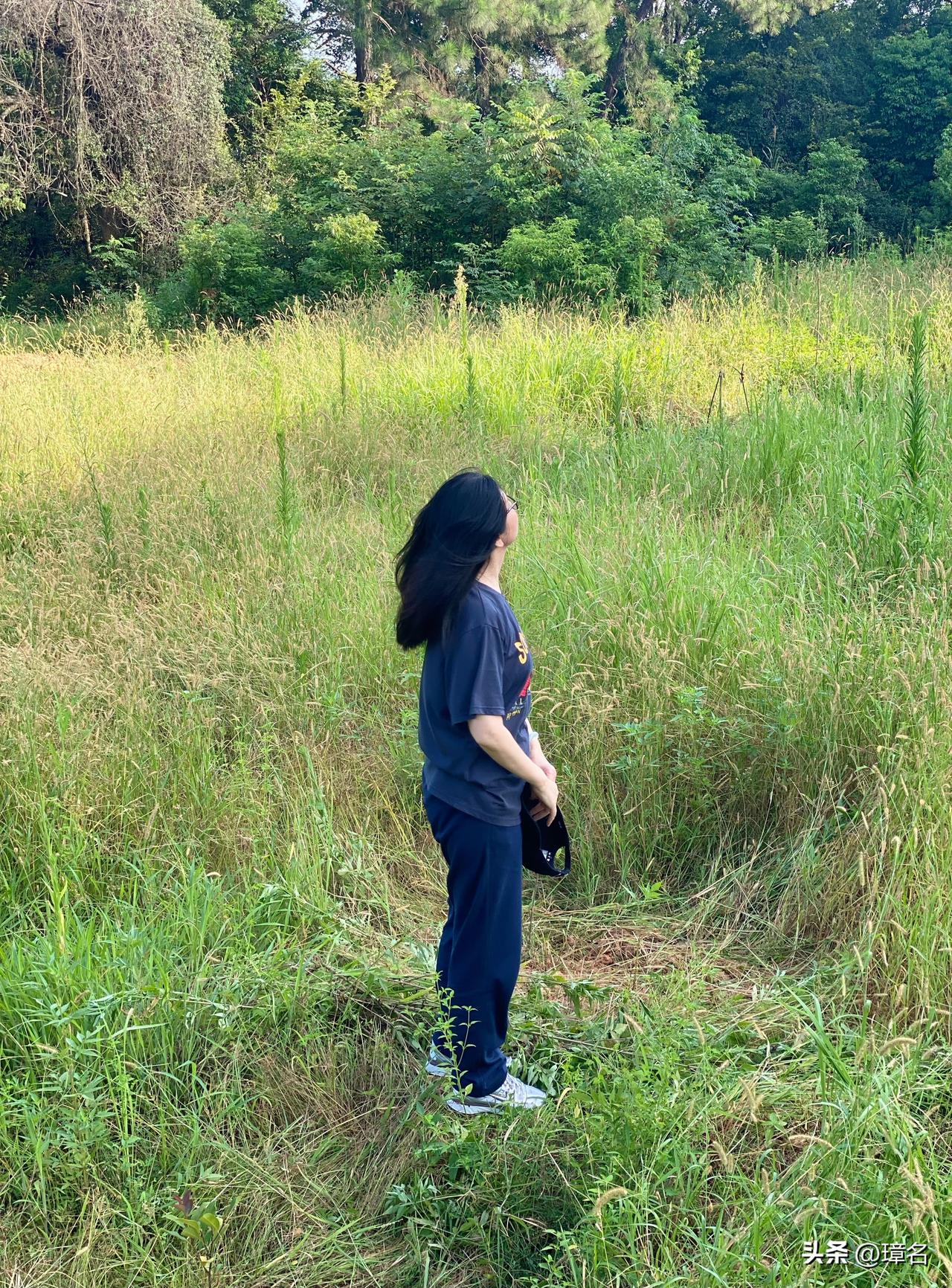 我站在这里，
等风等雨等花开。
等云层掠过远山，
等水田倒映晚霞。

等泥土里的