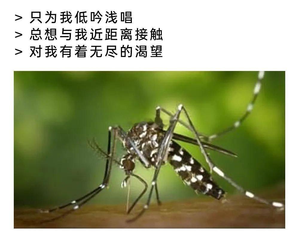 有这些表现代表她喜欢你 