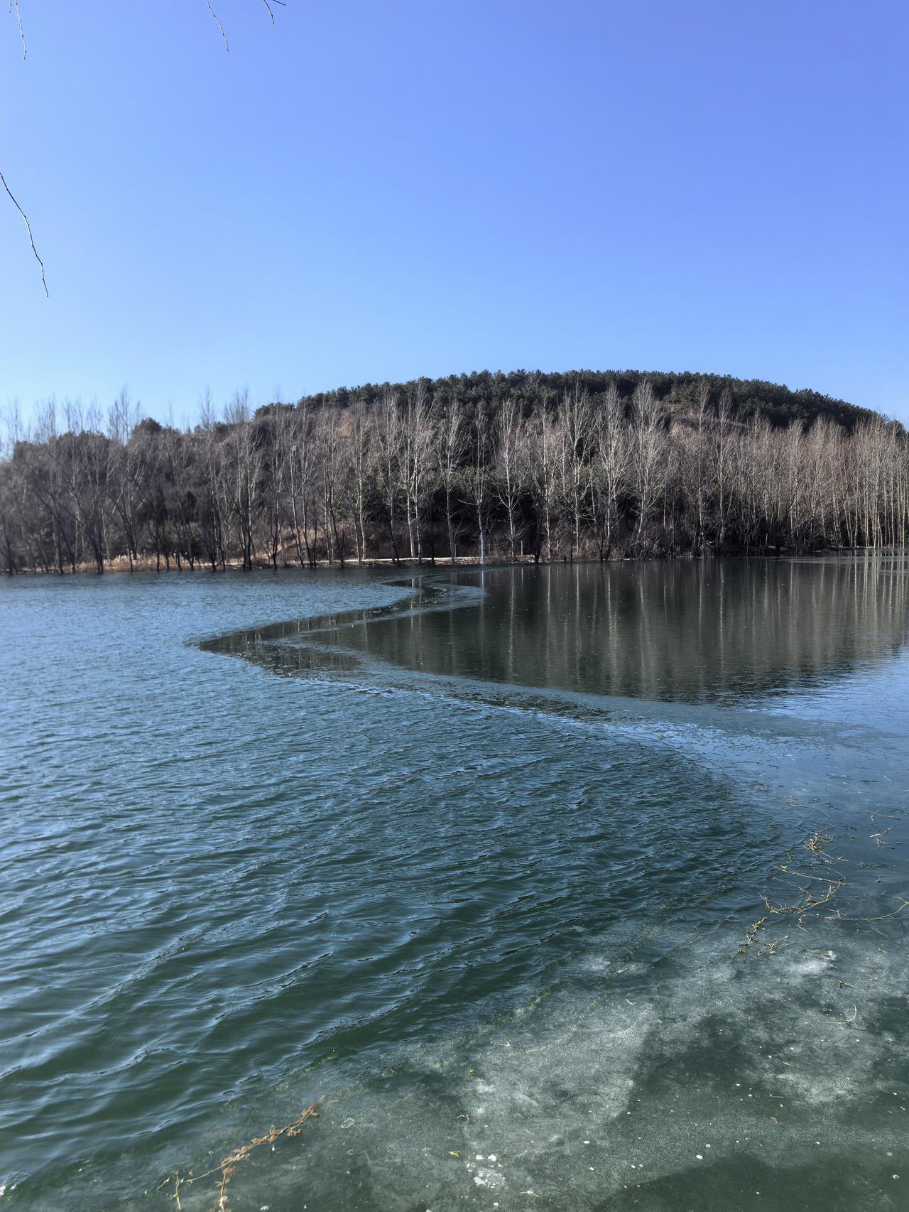 分享一张你最近随拍的照片