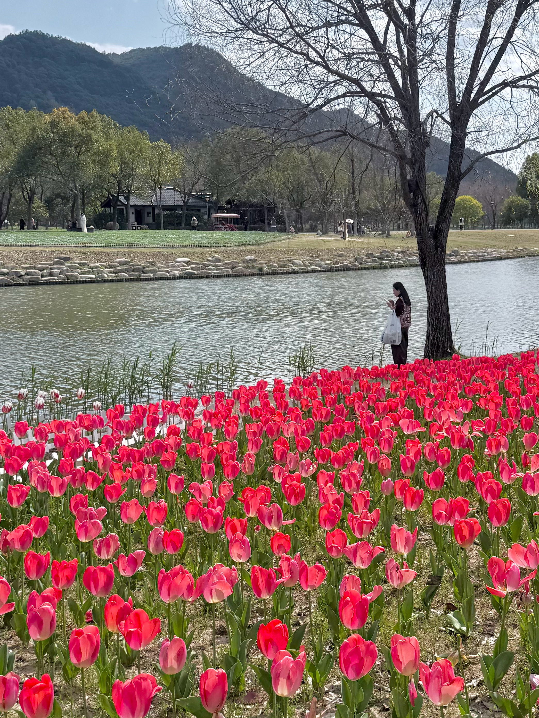 捕捉春日气息🫧🌷这次咱们约3/25 20:00哦～淡淡的杏黄色明媚又温柔💛
