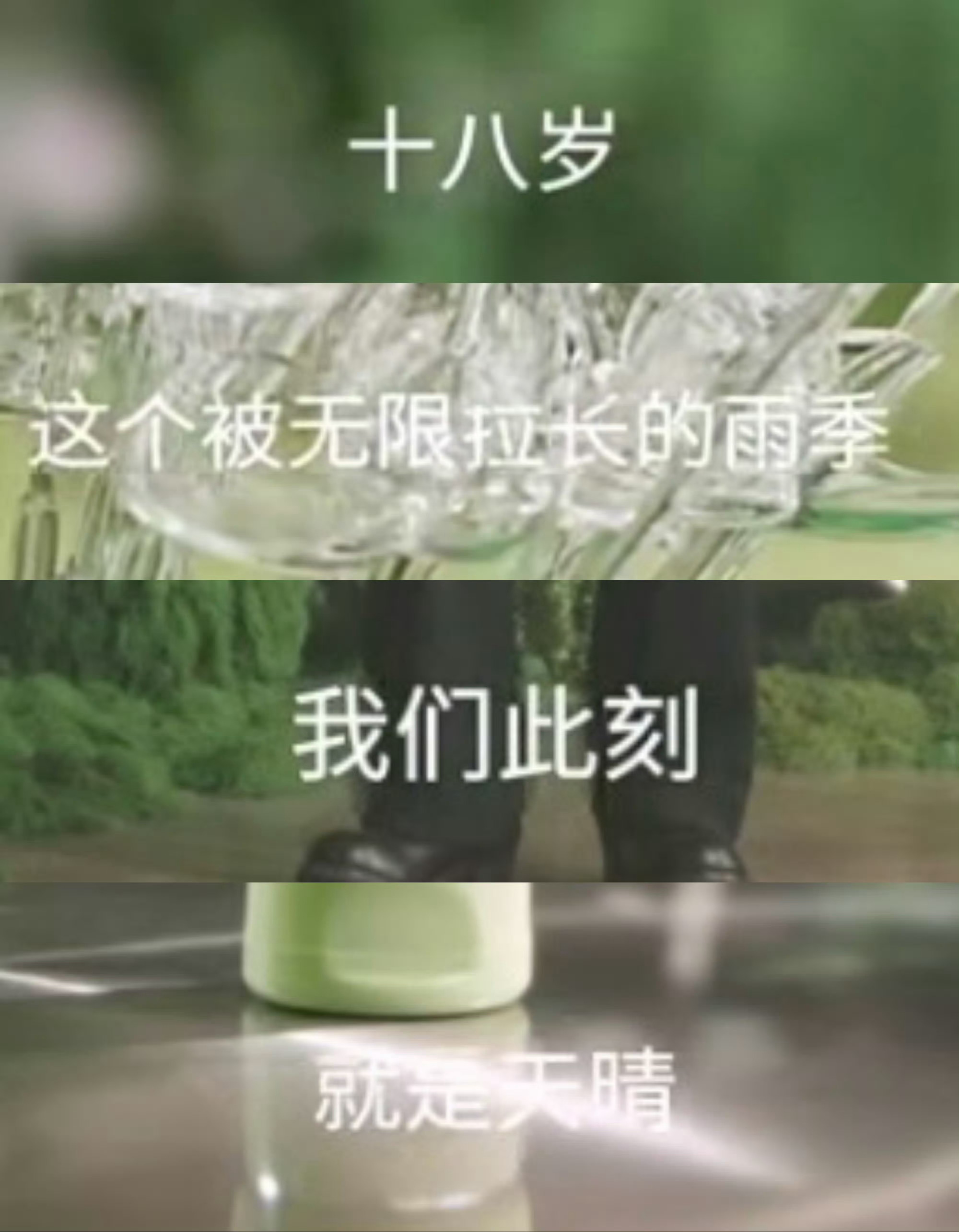 真心换真心从来不是什么玩笑话🥲 