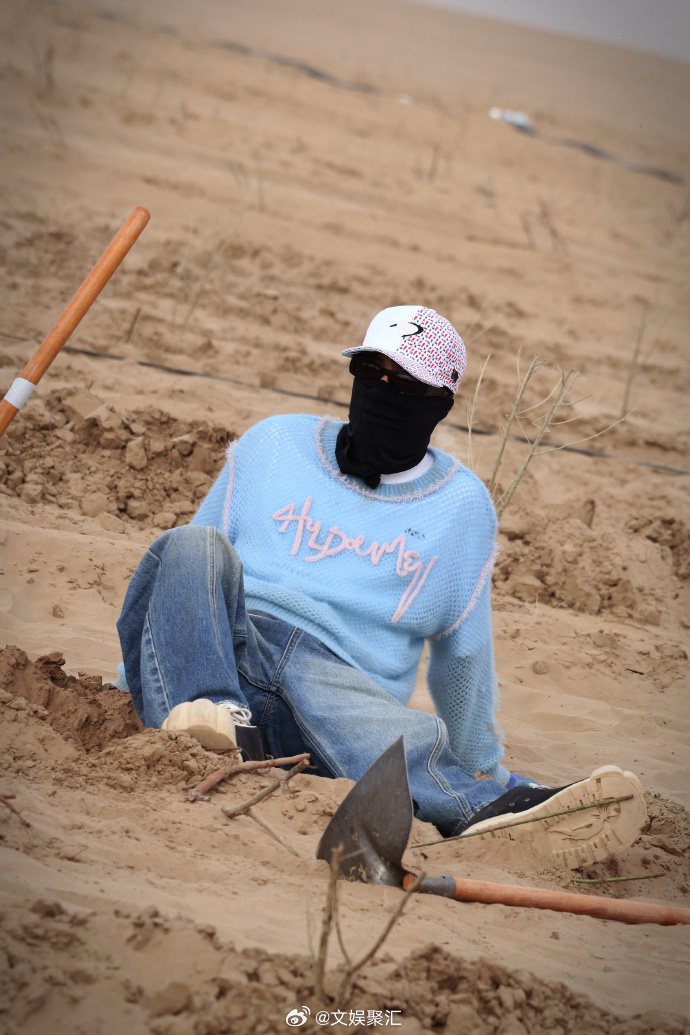 鹭卓沙漠变绿洲冲冲冲鹭卓今日份沙漠玫瑰继续坚韧的沙漠玫瑰鹭卓上线！今日份继续打卡