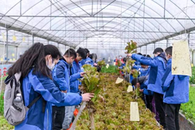 全国推行每周半天校外实践，是泼天流量也是研学行业一次洗牌