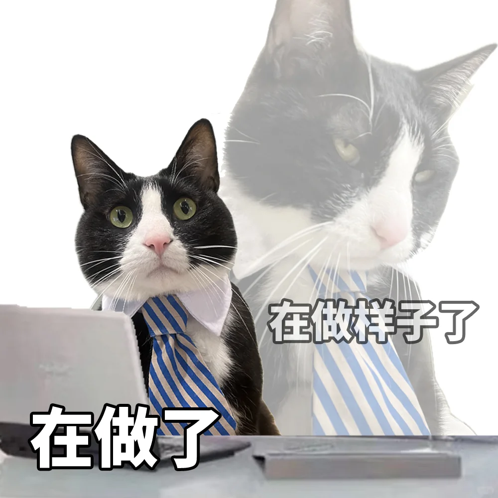 开始加班（表情包更新中）