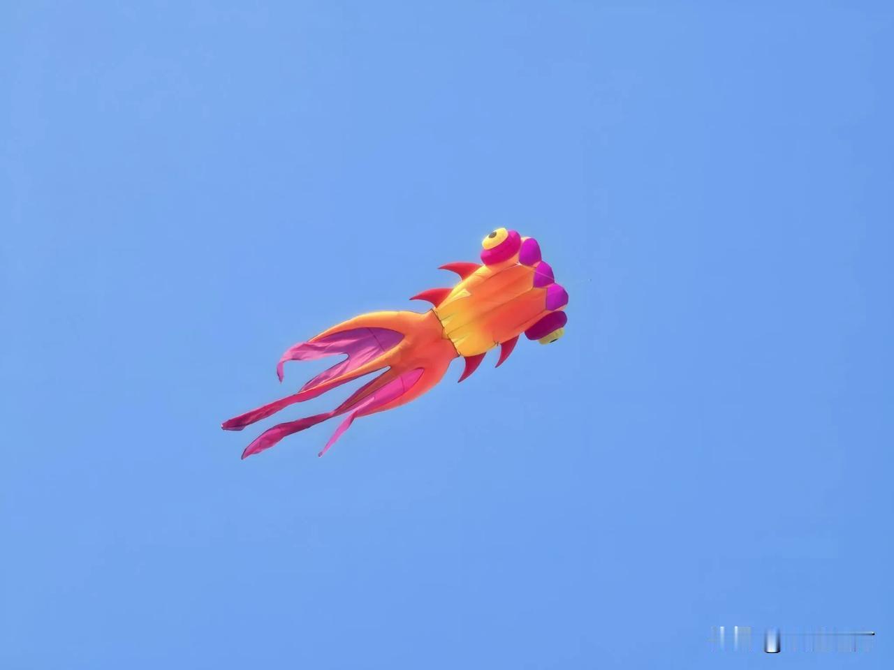 天空中飞翔的彩色鱼儿，那是一种梦幻般的美。它们色彩艳丽，仿佛是把世间所有的色彩都