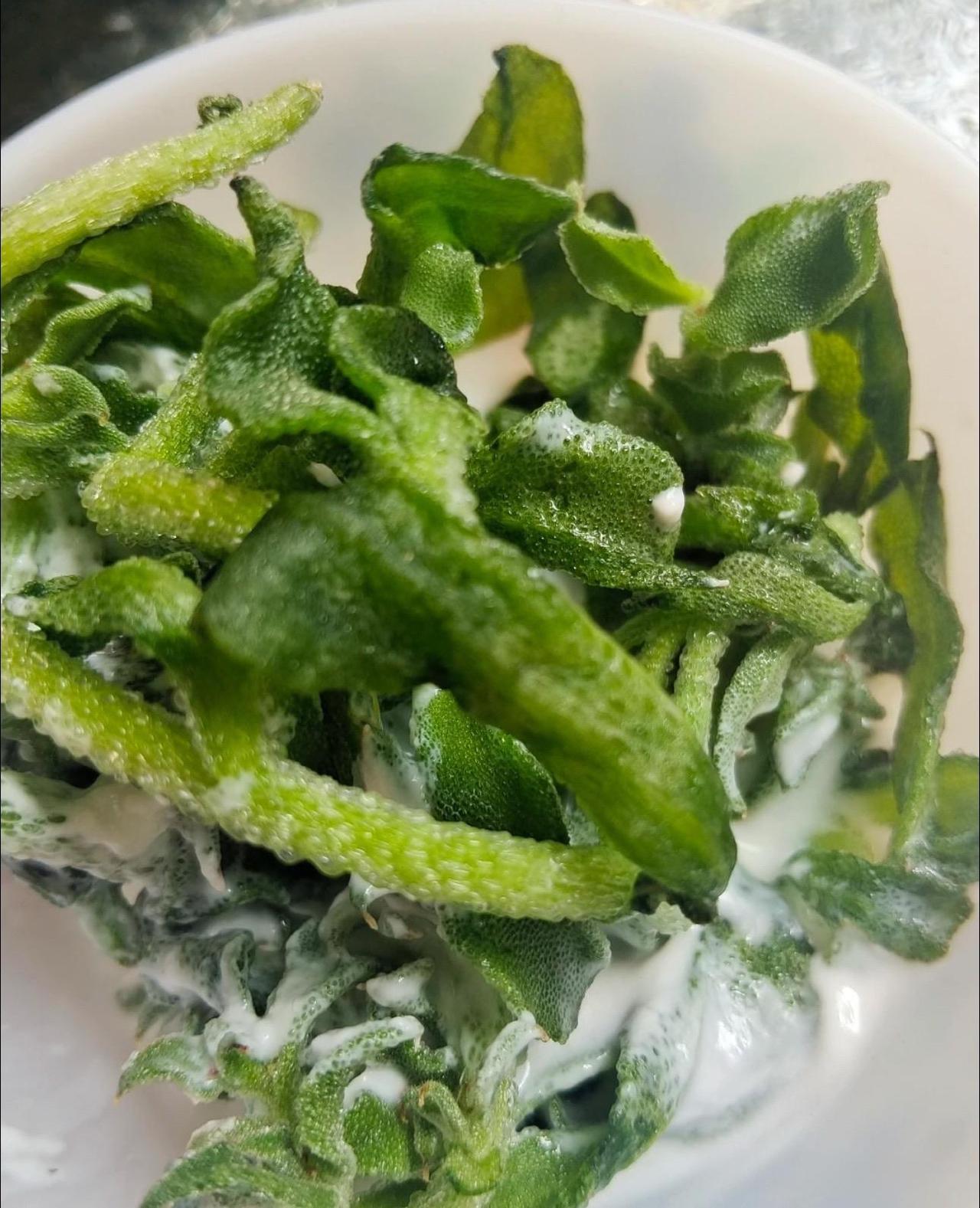 这菜好吃吗