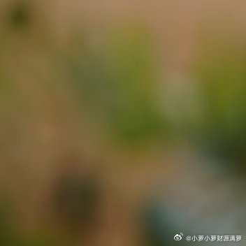 很喜欢的一段话：“把温柔当磁场，允许他人如其所是，把力气收回来浇灌自己，比改变他