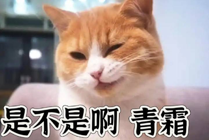 维权就维权 全力对准剧组和工作室  别阴阳白鹿， 白鹿又没成为zb 