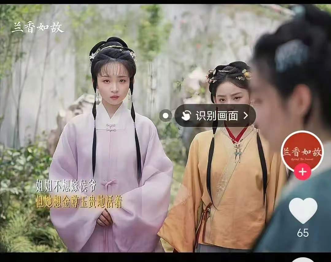 兰香如故演员造型像林黛玉兰香如故演员造型神似林黛玉 兰香如故这个演员的造型好像林