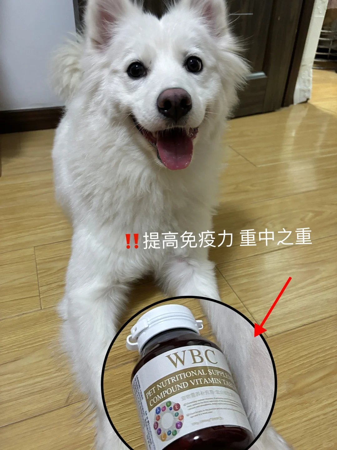 是谁还没有补充WBC维生素呀