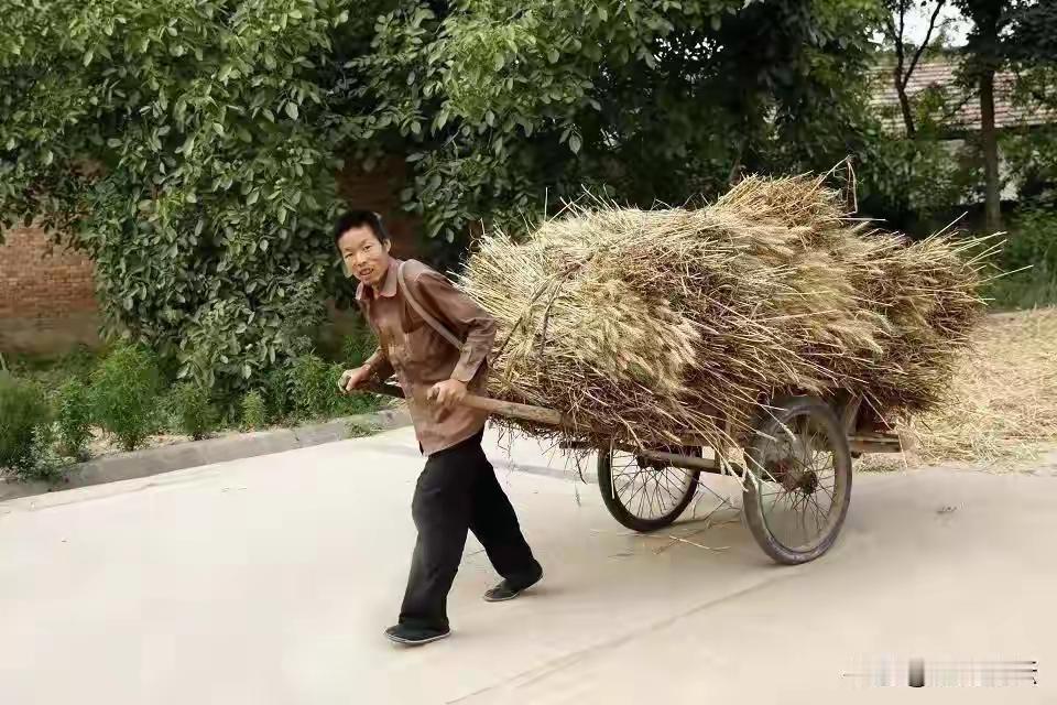朱之文因为一句农民种地不幸苦！
网上带节奏的人就抓住这句话不放了！
这些人才不管