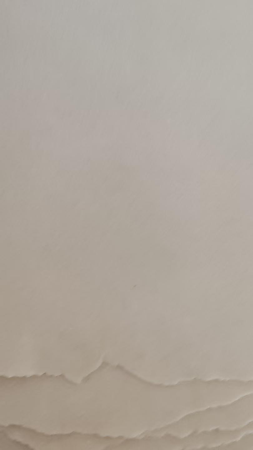 生活随拍记录美好瞬间随手拍自己烙的棒子面饼，吃着嘎嘎香[大笑]