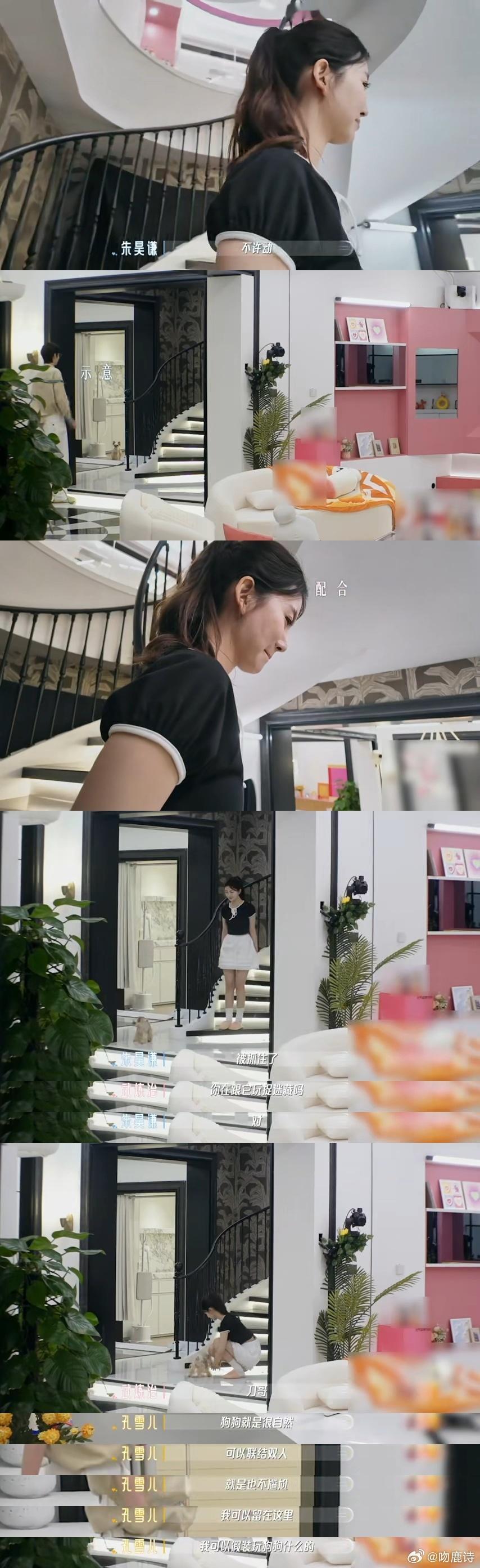 恋综男女通吃的嘉宾出现了喜欢你我也是 人气嘉宾用一只小狗开启了爱的节奏，大伙儿的