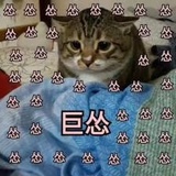 霜天热玩娱乐