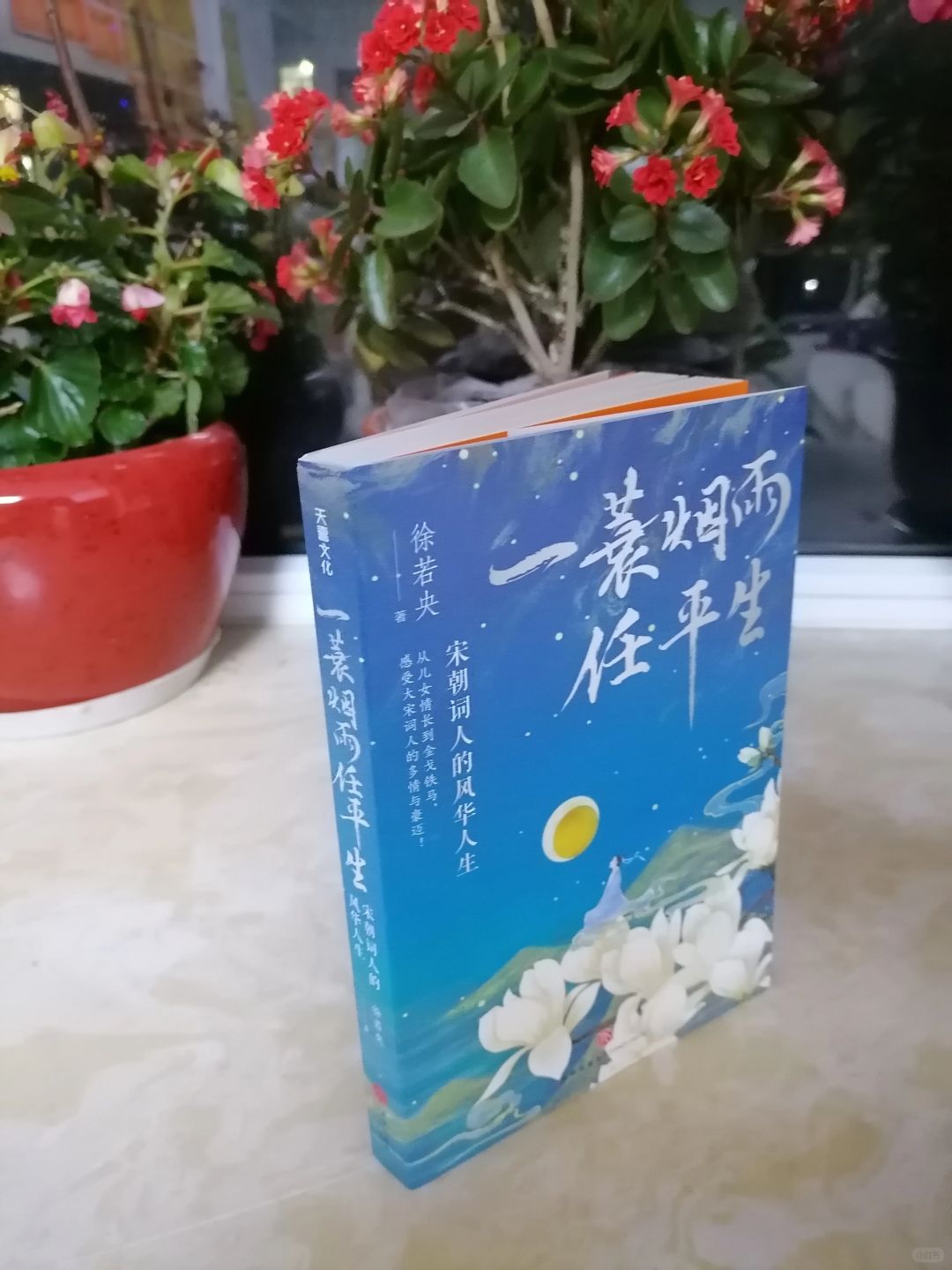 品读宋朝词人的风华人生