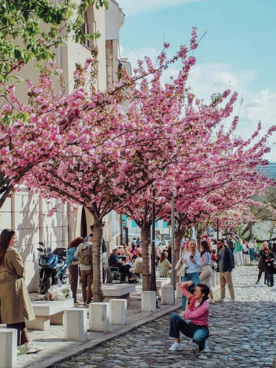 在塞尔维亚待了2年，我的建议是。。。