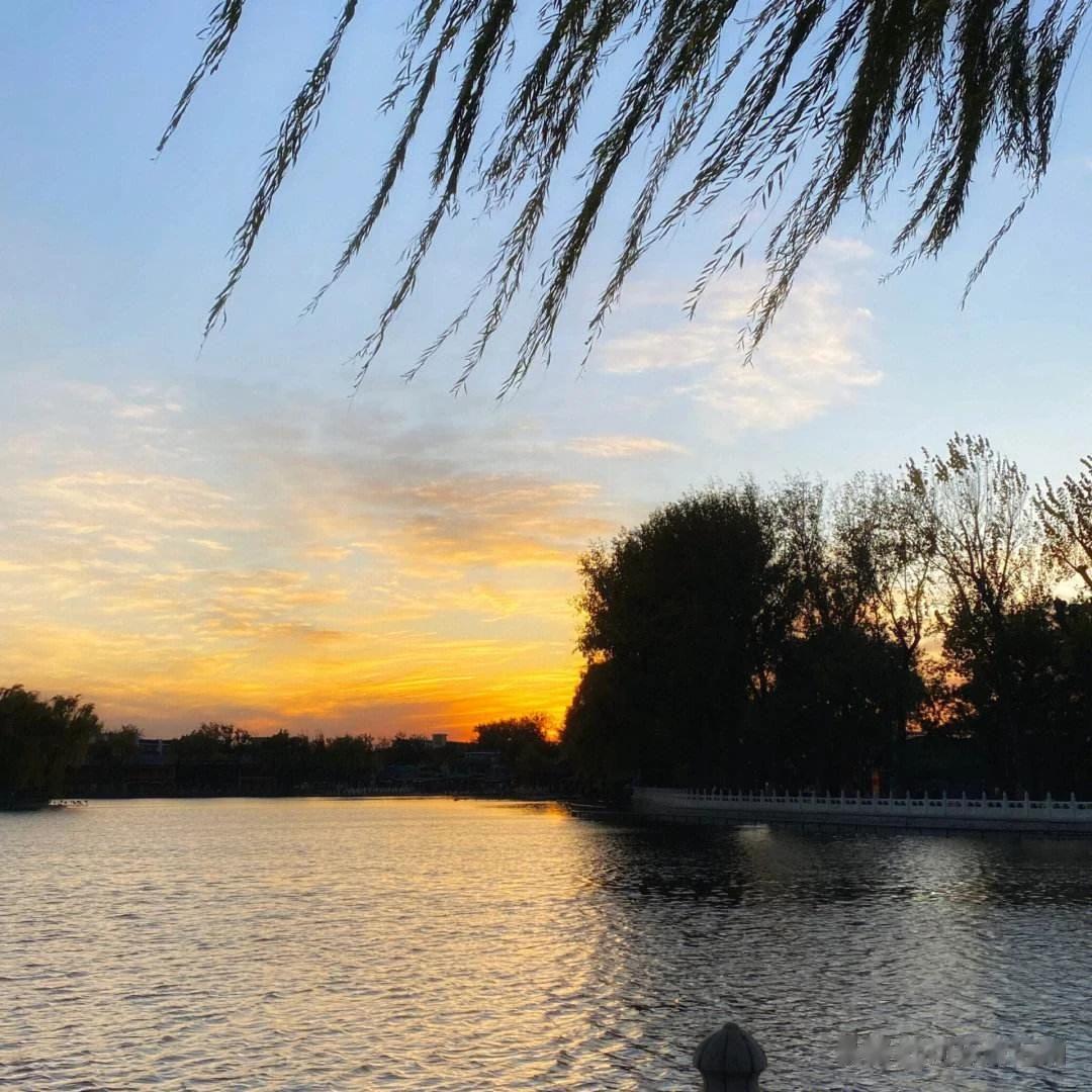 这个时节的后海最是惬意，阳光温柔，天气晴朗，气候宜人。清风拂面，既有秋天的舒适又