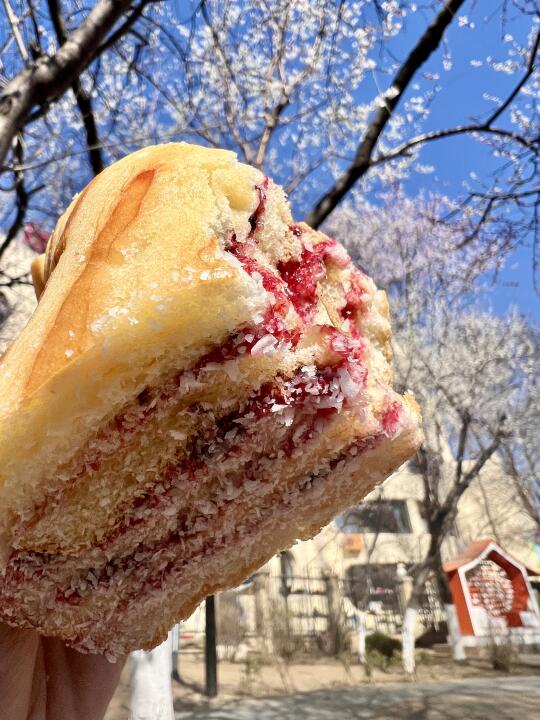 沈阳终于有了😭5元拿下广东同款蓝莓包🍞