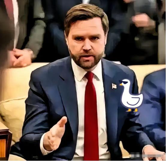 万斯一句话，算是把美国人的底裤给扒了个干净！
 
2026 年 1 月，美国副总