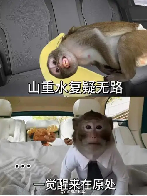 清明有人开了12小时还没出广东这种时候就应该半夜出发，我们昨天两点出发，今天凌晨