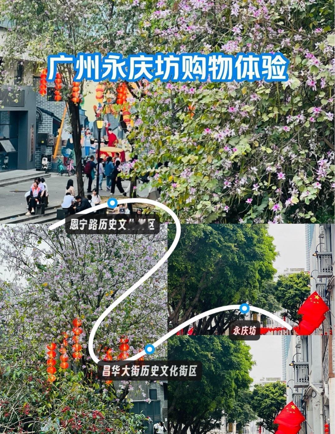 永庆坊的春与年｜花影灯笼红，一眼沦陷老广年味
📍广州 
2026年的永庆坊，把