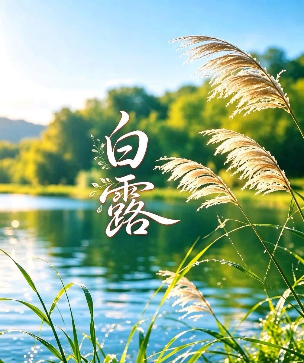 一朝白露至，山河两模样。岁月温柔落笔，万物渐收锋芒。一份安然，一份清凉。

凉生