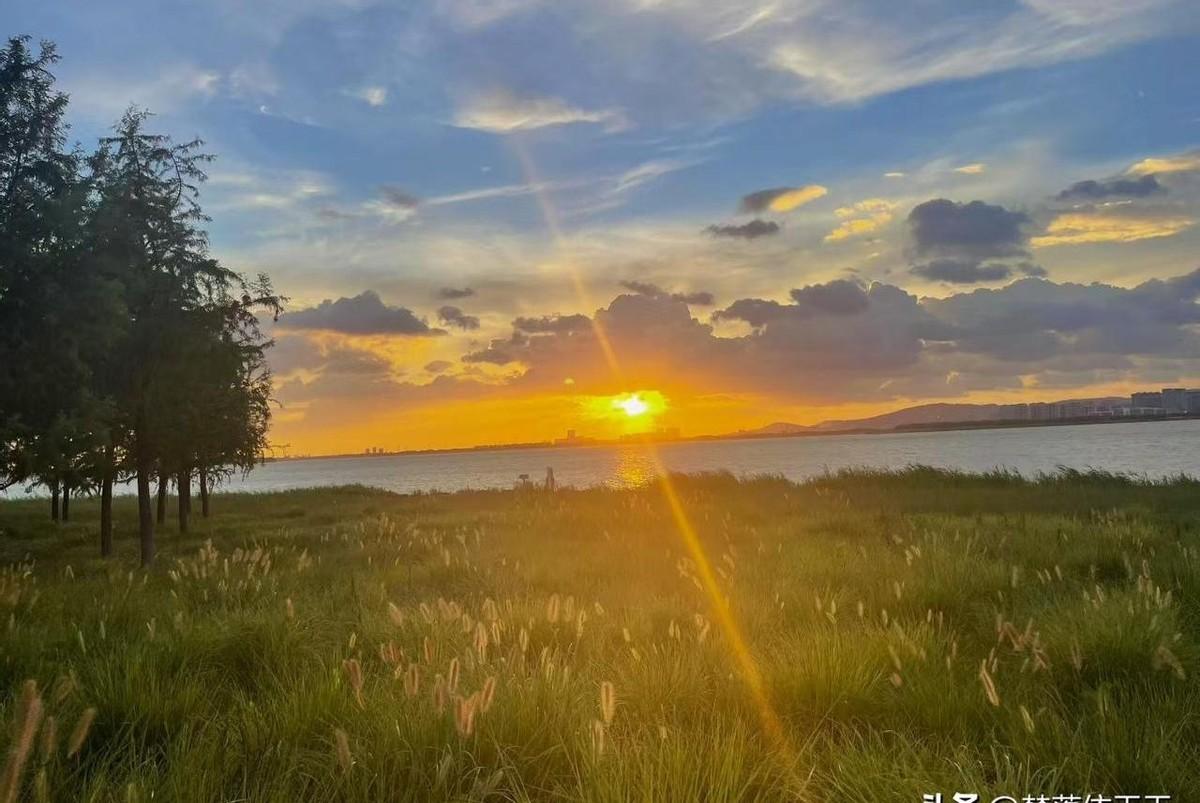 网上那些跨国恋情，看着光鲜亮丽，好像捡到了宝。
可镜头一关，背后的辛酸谁知道？