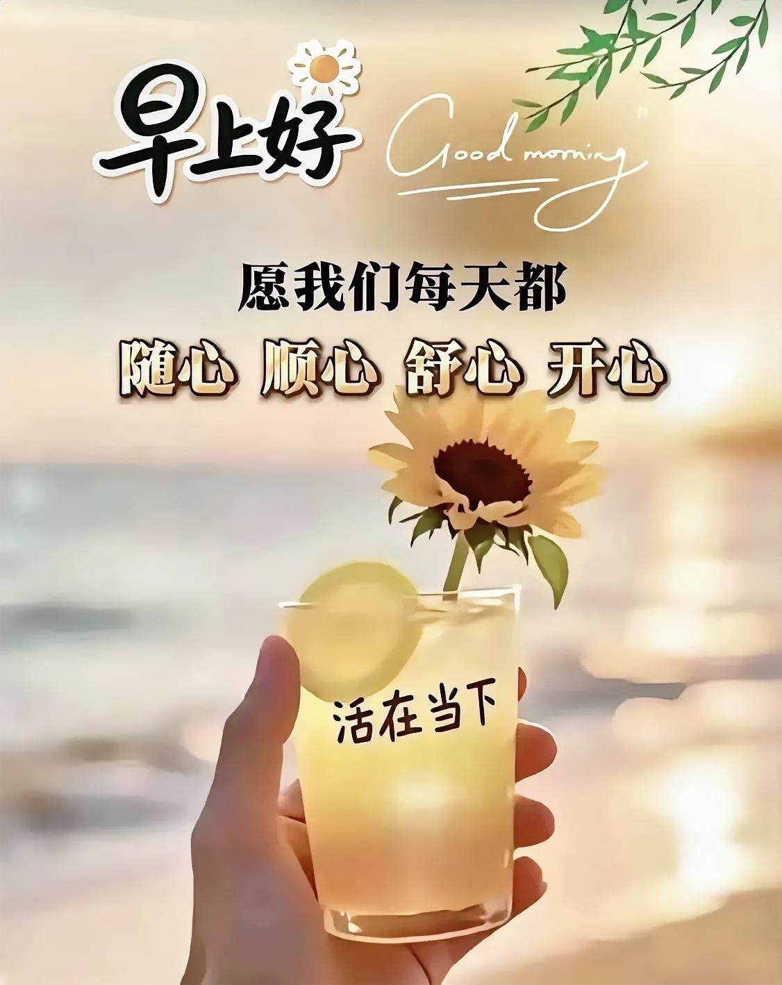 单身生活分被动、主动两种，无论属于哪一类，都要乐观应对，积极进取，经营好自身的日