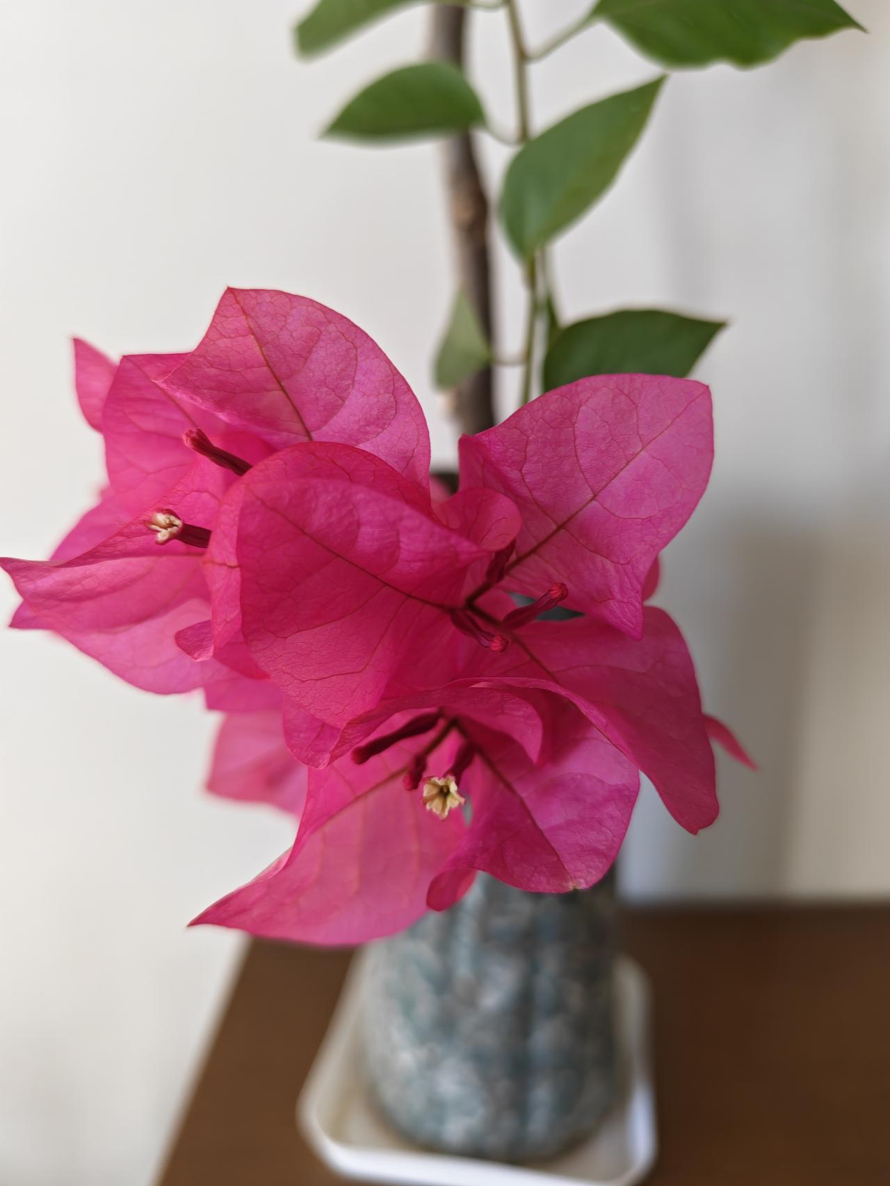 我已经两天没消费了，感觉好开心。
哈哈😃，有意思吧。
我给自己定了每天的消费金