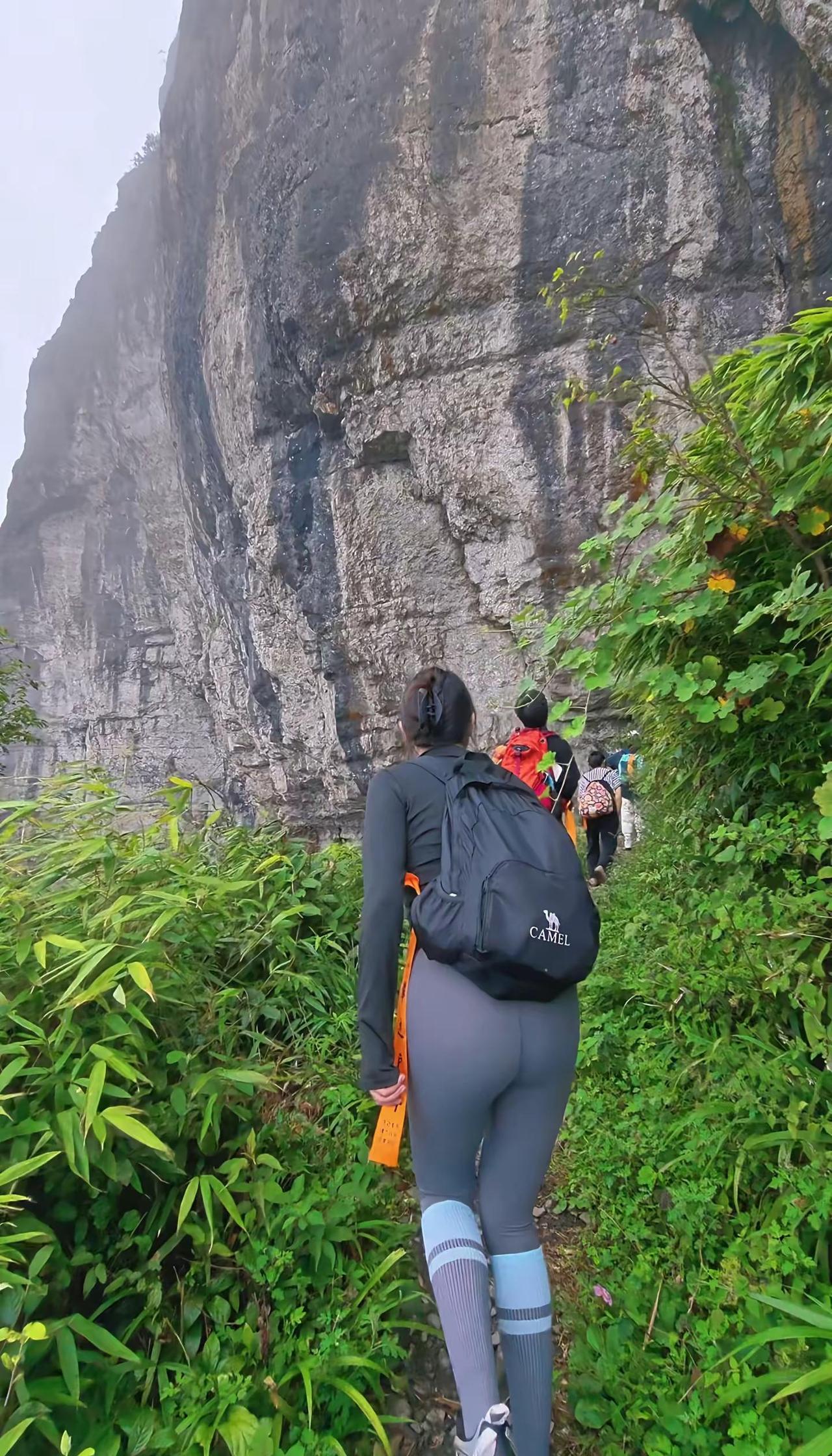 神鹰山徒步保姆级攻略。🌿主城出发2小时直达綦江最高峰，全程零门票，人少景美体验