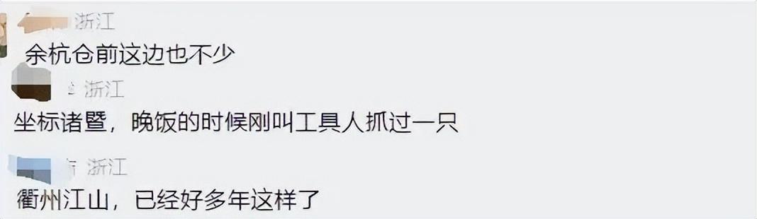 罕见！浙江多地遭“臭屁虫”入侵，有人1200元收购？靠吃有用吗？
浙江多地网友反
