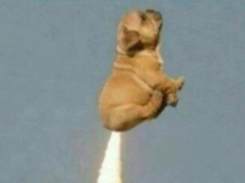 【响屁不臭臭屁不响是真的！】虽然同样是消化系统的废料，但“屁”并不能简单地看作粪