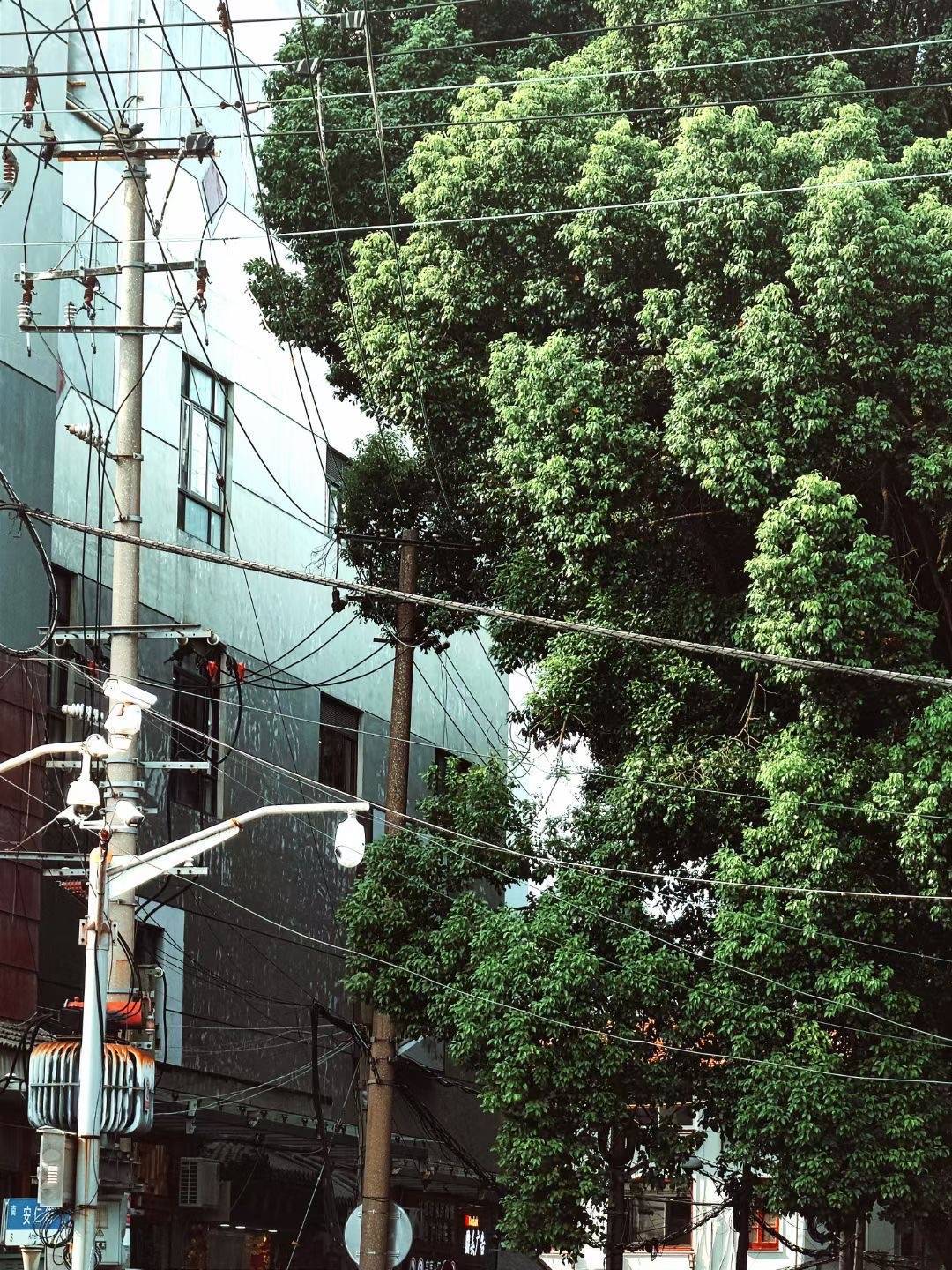 高山是大地最孤高的奇迹，历经千万年地层折叠挤压，忍受长久孤寂，才换得俯瞰众生、贴