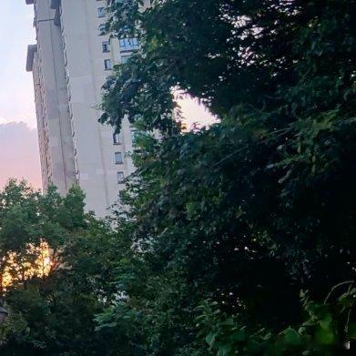 晚安 与人相处难免会有误会摩擦。不必揪着别人无心的话语、无意的过失反复纠结，放下