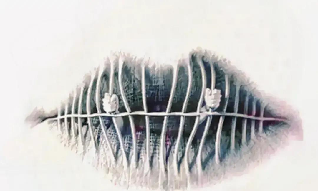 心理测试2025年又出新花样。

刷到一条短视频，博主拿两张图让网友选“先看到猫