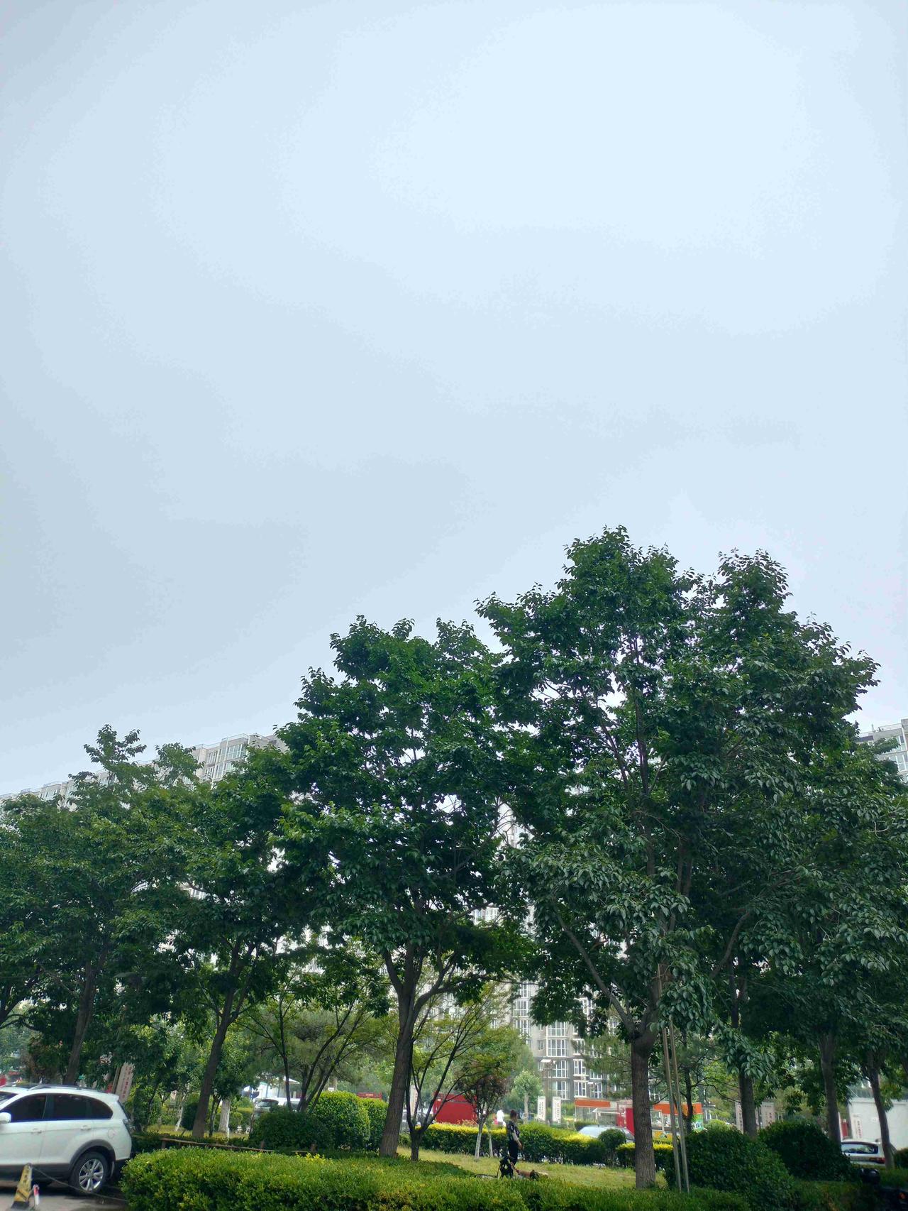 我的今日状态：💰期待暴富
我这里的天气：🌤️多云